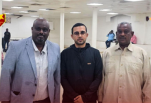 الصفوة هيدر 264