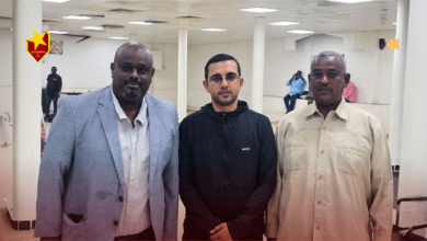 الصفوة هيدر 264