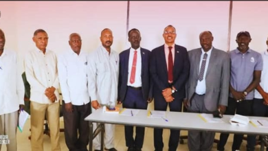 الصفوة هيدر 284