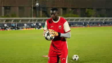 الصفوة هيدر 288